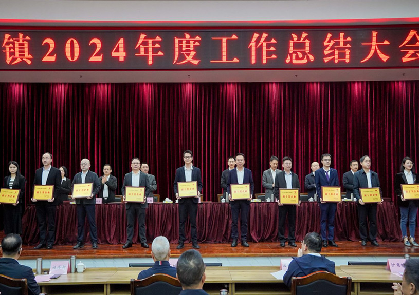 双项殊荣！九五至尊VI电声荣登石排镇2024年度“双十强”榜单